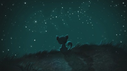 星空下的猫