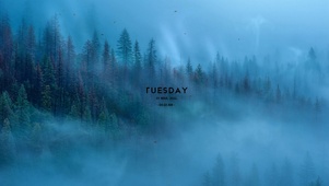 晨雾山林
