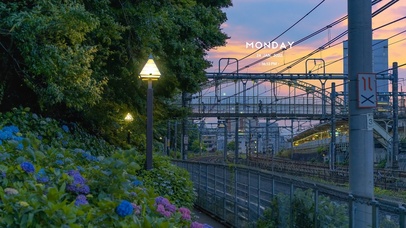 4K唯美治愈护眼风景