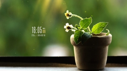 4k清新绿植桌面