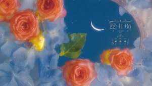 唯美梦幻玫瑰月夜