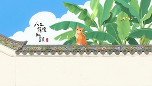 治愈屋顶小猫