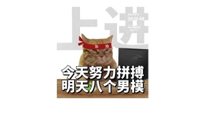 努力拼搏 八个男模
