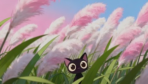 清新治愈芦苇丛