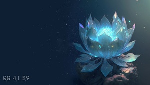 4K治愈莲花