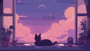 看流星的猫咪
