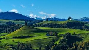 4K护眼绿色山丘风景