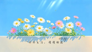 清新雏菊