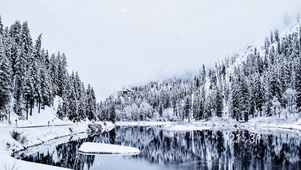 雪落下的声音