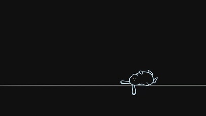 白小狸壁纸_趟兔