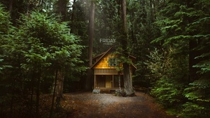 雨中的林中小屋