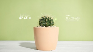 简约小清新绿植盆栽桌面