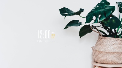 4k高清简约ins风格