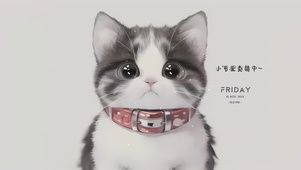 可爱卖萌猫咪