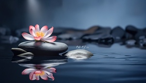 禅意水中石