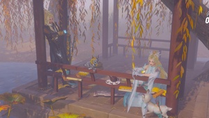 藏琴
