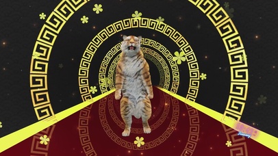 时尚_虎哥【4K无缝循环】