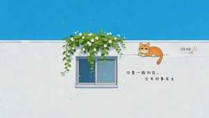 清新屋顶小猫
