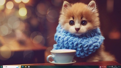 咖啡猫—【主题桌面】