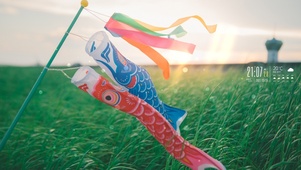 4k 夕阳下的草原和鲤鱼旗