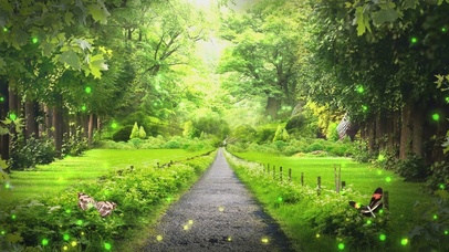 动态丛林小道粒子光效