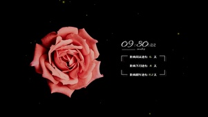 简约唯美桌面