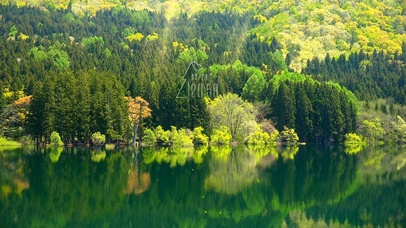 护眼青山绿水湖畔