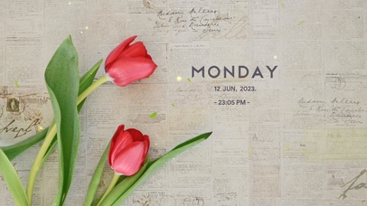 清新郁金香电脑桌面