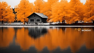 湖边橙色树林