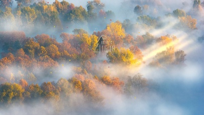 4K唯美阳光云雾森林