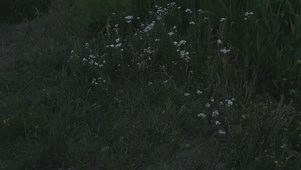 3akaт