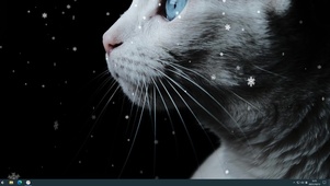 细嗅萌猫
