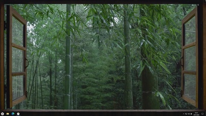 窗外雨中竹林