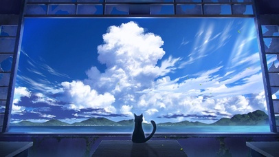 4K 治愈看云的猫