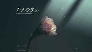 4k高清治愈荧光花朵