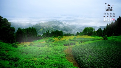 青山烟雨