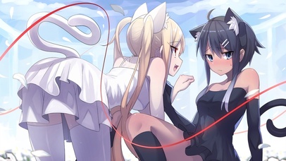 可爱黑白小猫咪