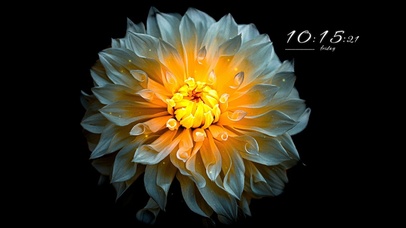 4k高清简约冷美系列