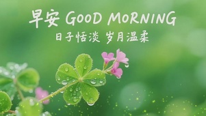 早安日子恬淡岁月温柔