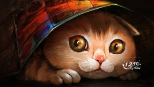 4k可爱猫咪