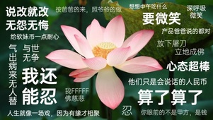 算了算了
