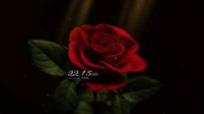 4k高级唯美荧光玫瑰花