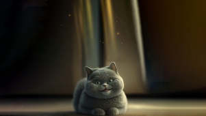 猫 4K 可爱