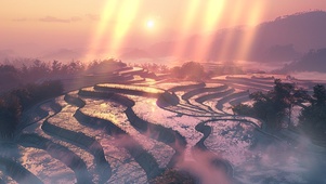 日出梯田