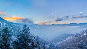 冬季雪景