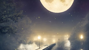 夜晚湖畔小路