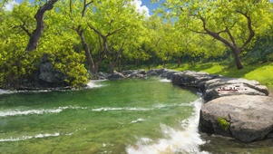 绿色小河