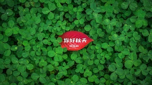 你好，秋天！