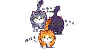 赚钱一起去