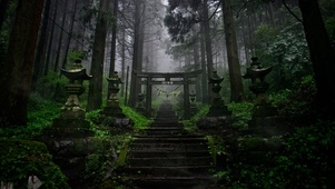 4K治愈护眼雨天树林神社小路